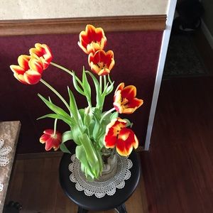 Meet your Posher, Liz